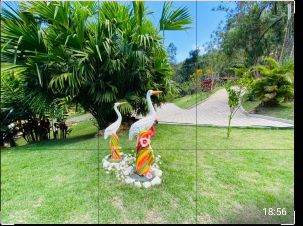 Lindo Sitio Em Domingos Martins 빌라 외부 사진
